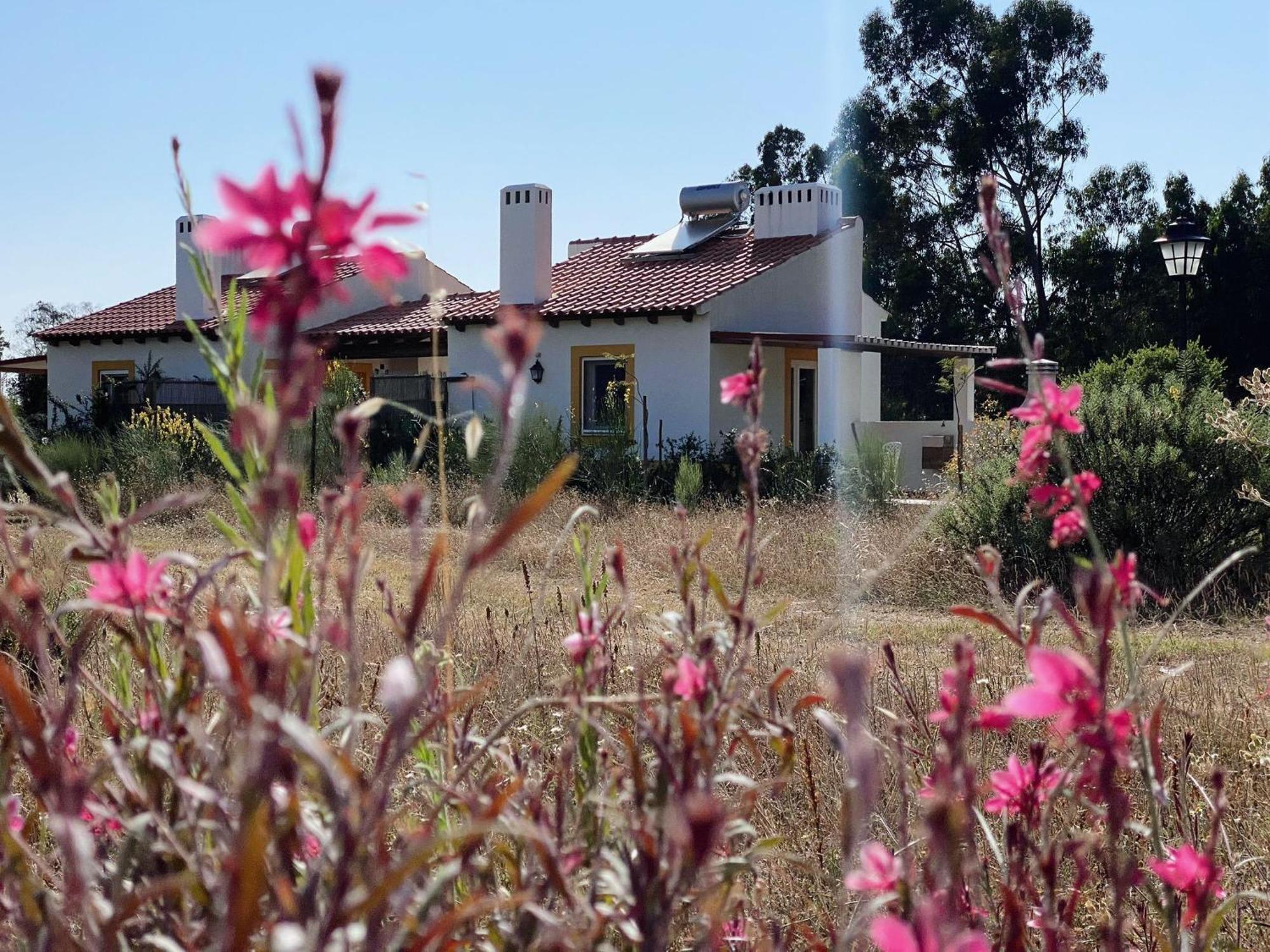 Monte Dos Cachoupos Villa Sao Luis Ngoại thất bức ảnh