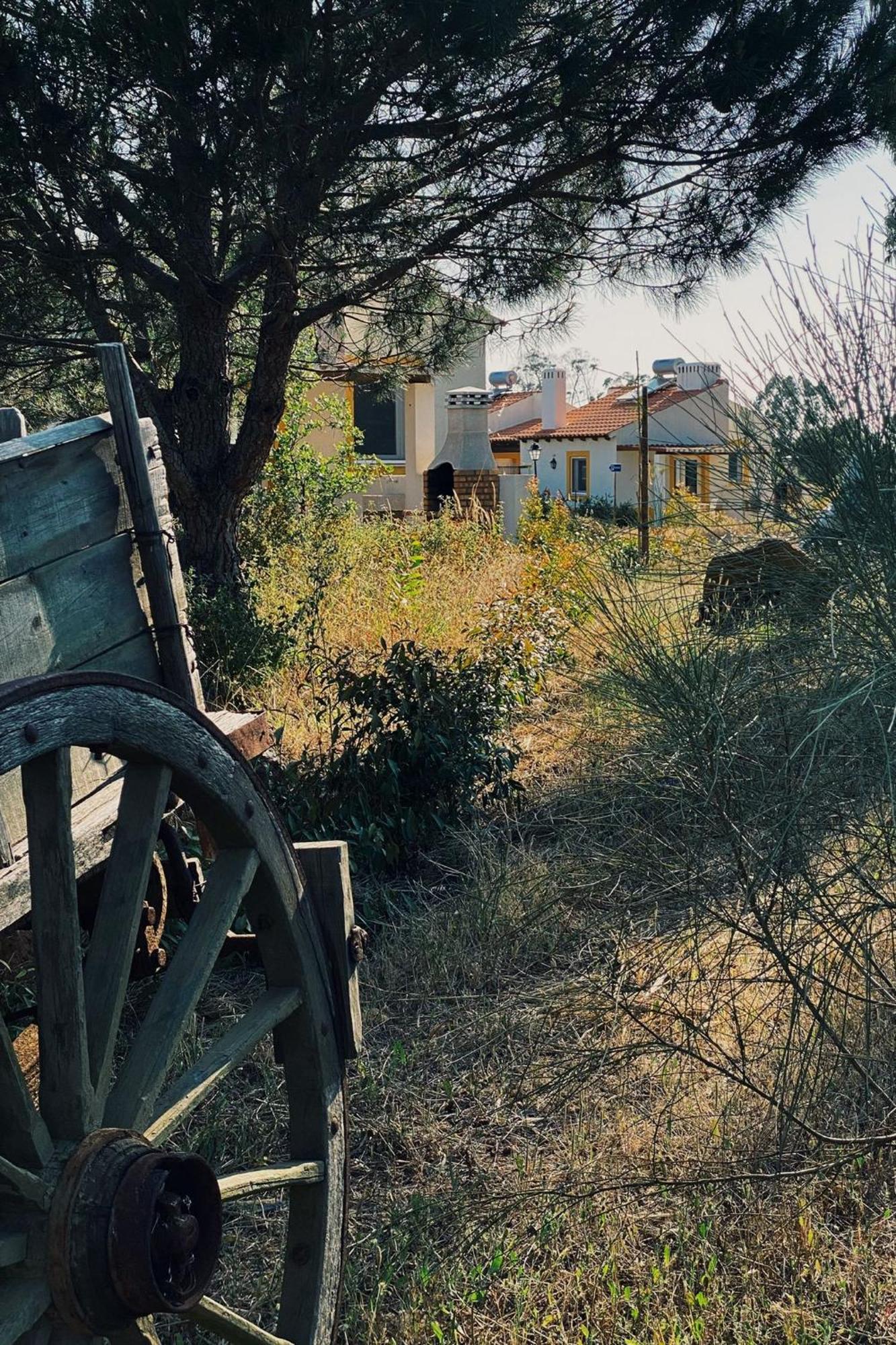 Monte Dos Cachoupos Villa Sao Luis Ngoại thất bức ảnh